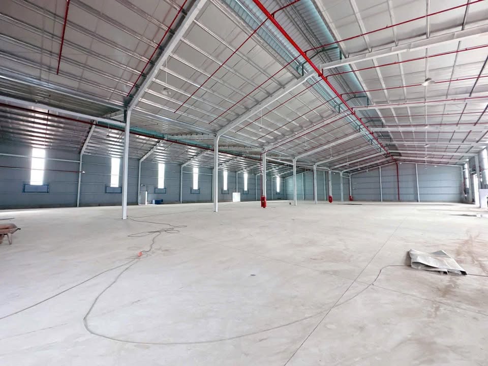 Cho thuê kho Long Thành 4.800m² - Hoạt động ngay, container thoải mái!