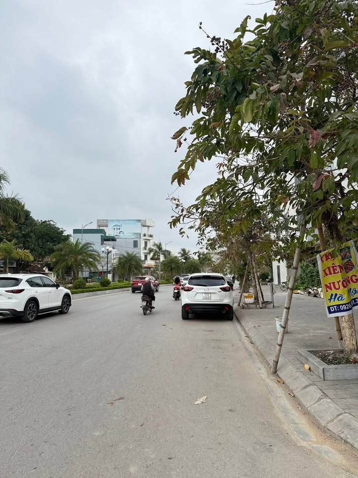 Bán Gấp Đất Vàng 168m² Mặt Tiền 7m Đường Nguyễn Thiếp, Thanh Hóa - Phù hợp Tòa Nhà Mini