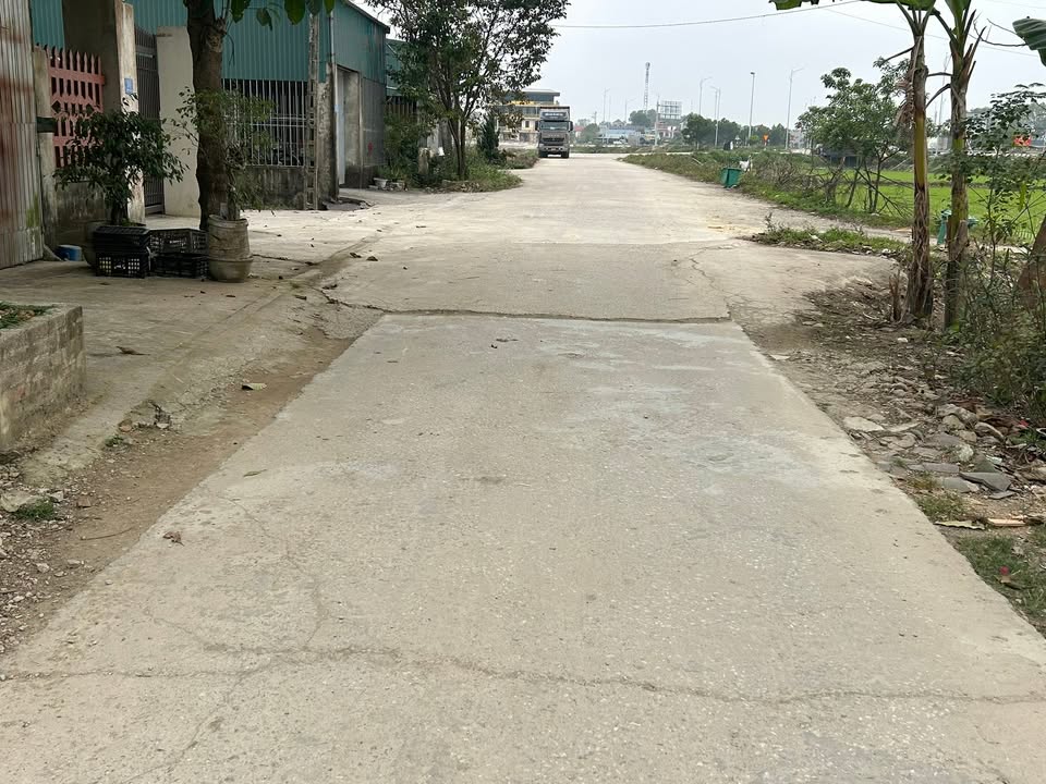 Bán Đất Triệu Sơn 180m² Full Thổ Cư Gần Cao Tốc - Giá Tốt Đầu Tư