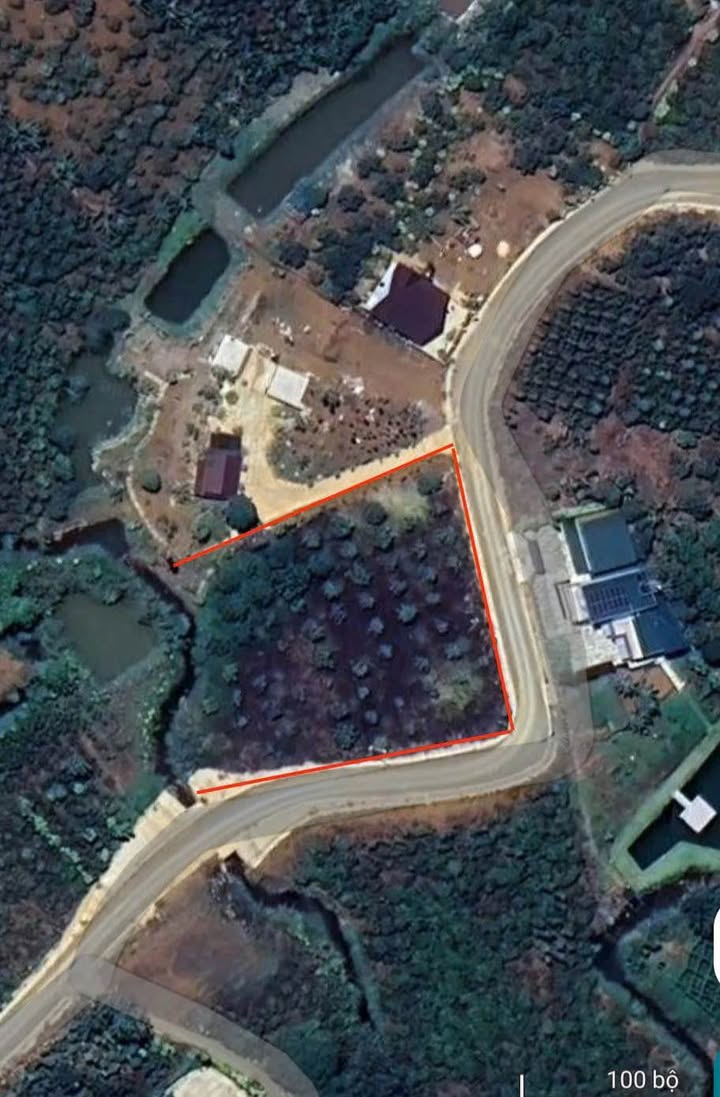 Đất nền mặt tiền đường nhựa Lộc An, Quận Gò Vấp, 4320m² - Cơ hội đầu tư lý tưởng!