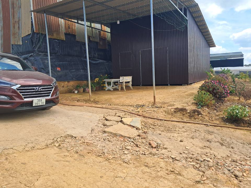 Đất nền Phường 11 Đà Lạt 630m² giá 2.999 tỷ - Tiềm năng tăng giá!