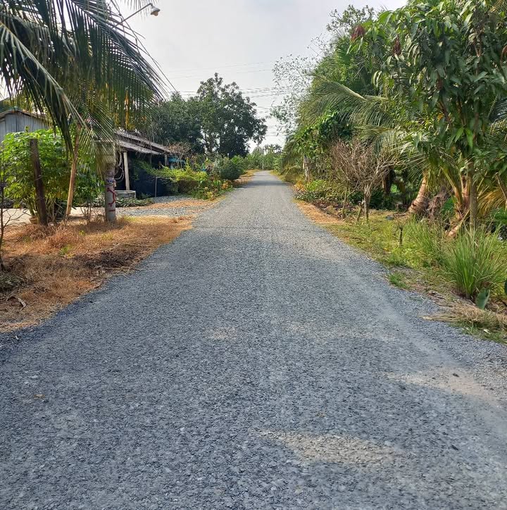 Bán Đất Vườn Trung Hòa Chợ Gạo 1095m² Mặt Tiền Kênh - Giá 1.3 Tỷ