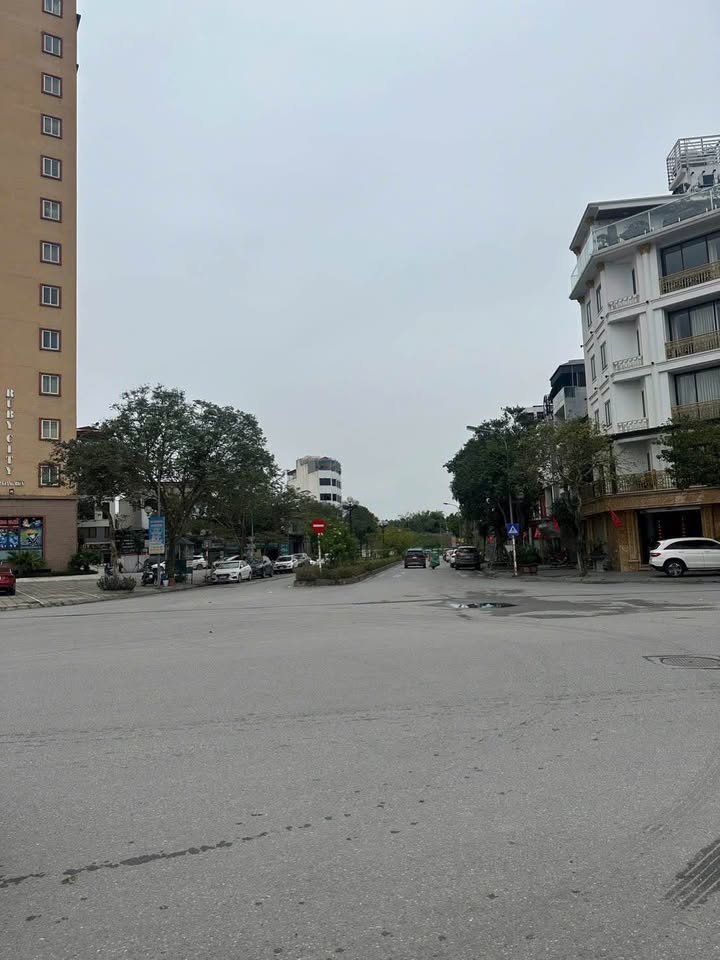 Bán căn hộ Ruby City 2 Long Biên 58m² giá 3 tỷ - Bàn giao ngay đón Tết!