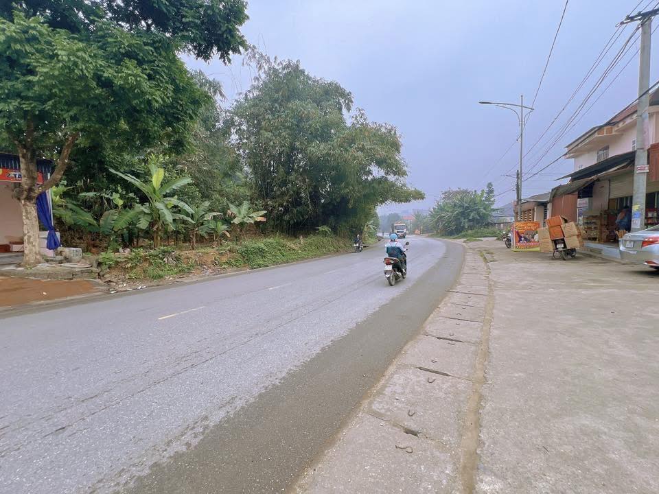 Đất kinh doanh Quốc lộ 32C, Xã Tiên Kiên, 93m² chỉ 2 tỷ - Mặt tiền 10m, sẵn nhà cấp 4!