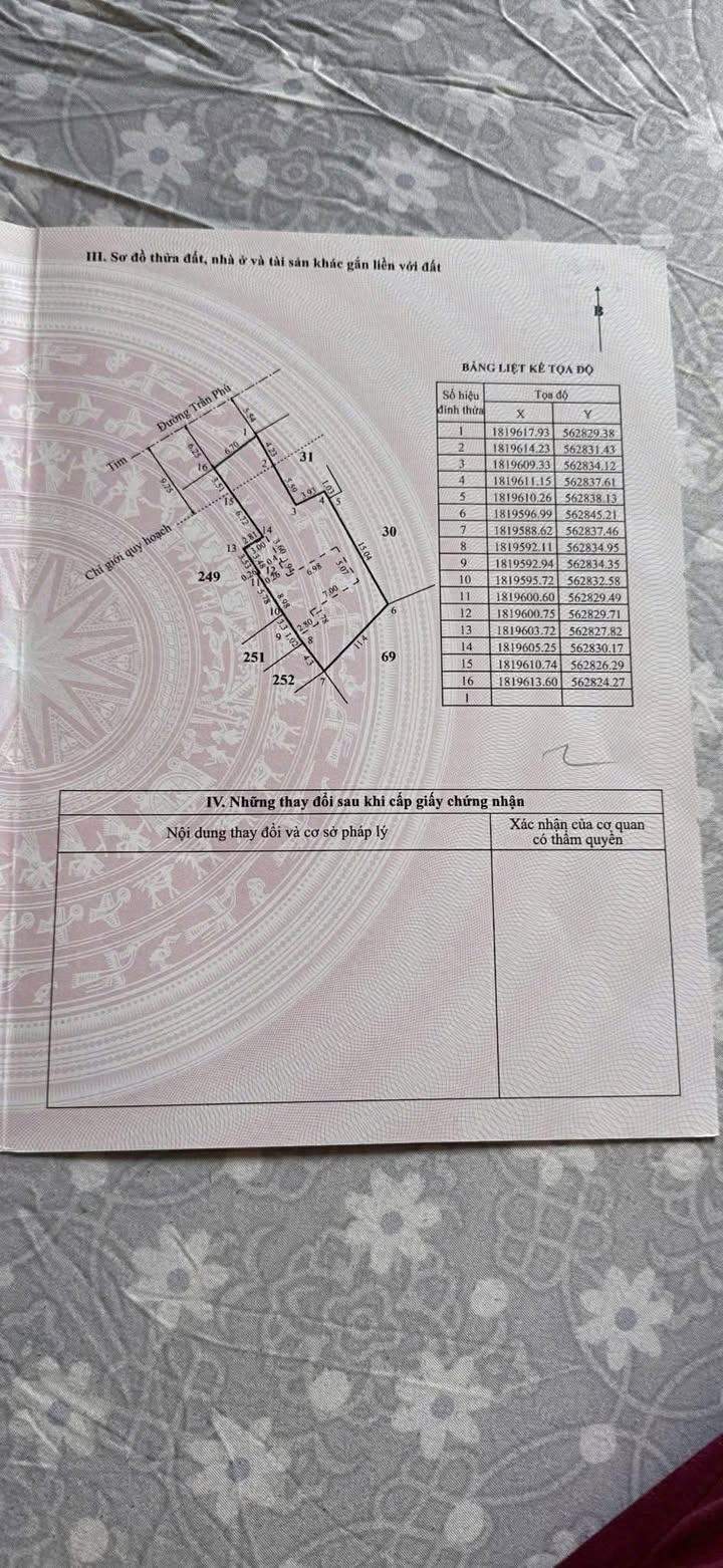 Đất nền Trần Phú, TP Huế 256m² - Tiềm năng tăng giá vượt trội!