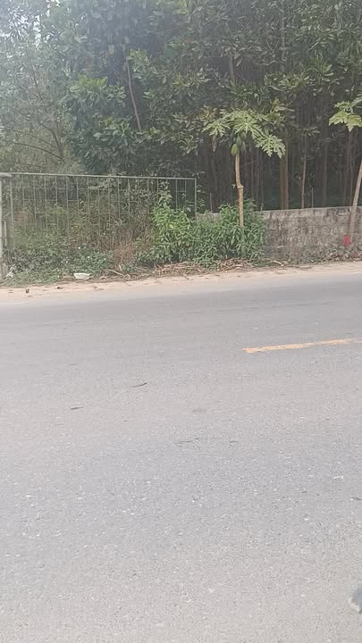 Đất nền đẹp xã Bình Thuận, huyện Đại Từ 115m² - Tiềm năng đầu tư cao!