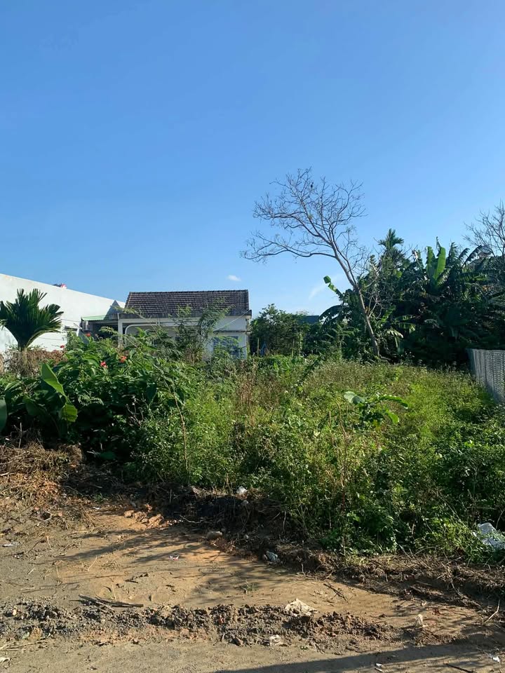 Đất nền xã Hòa Phước, Huyện Hòa Vang 62m² giá 700 triệu - Đầu tư sinh lời ngay!