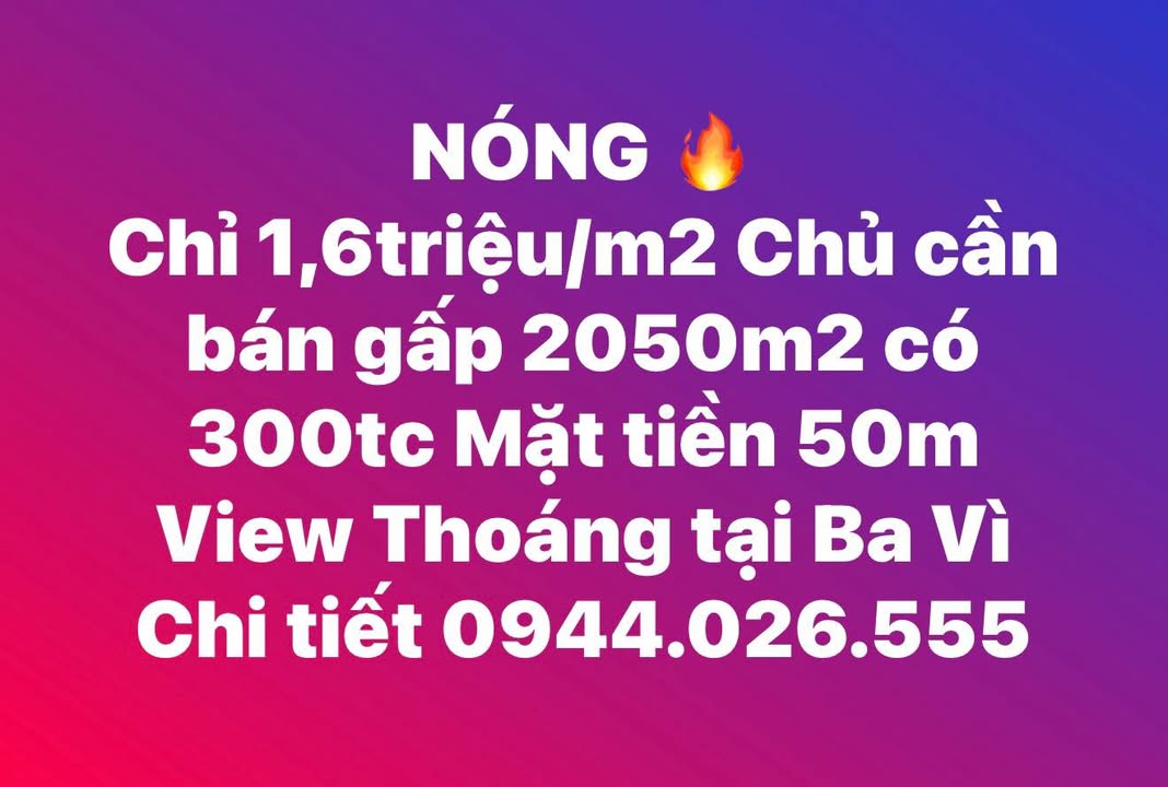 Đất Vàng Ba Vì 2050m² - Sổ Đỏ Riêng, Giá 3.2 Tỷ - View Thoáng Đẹp