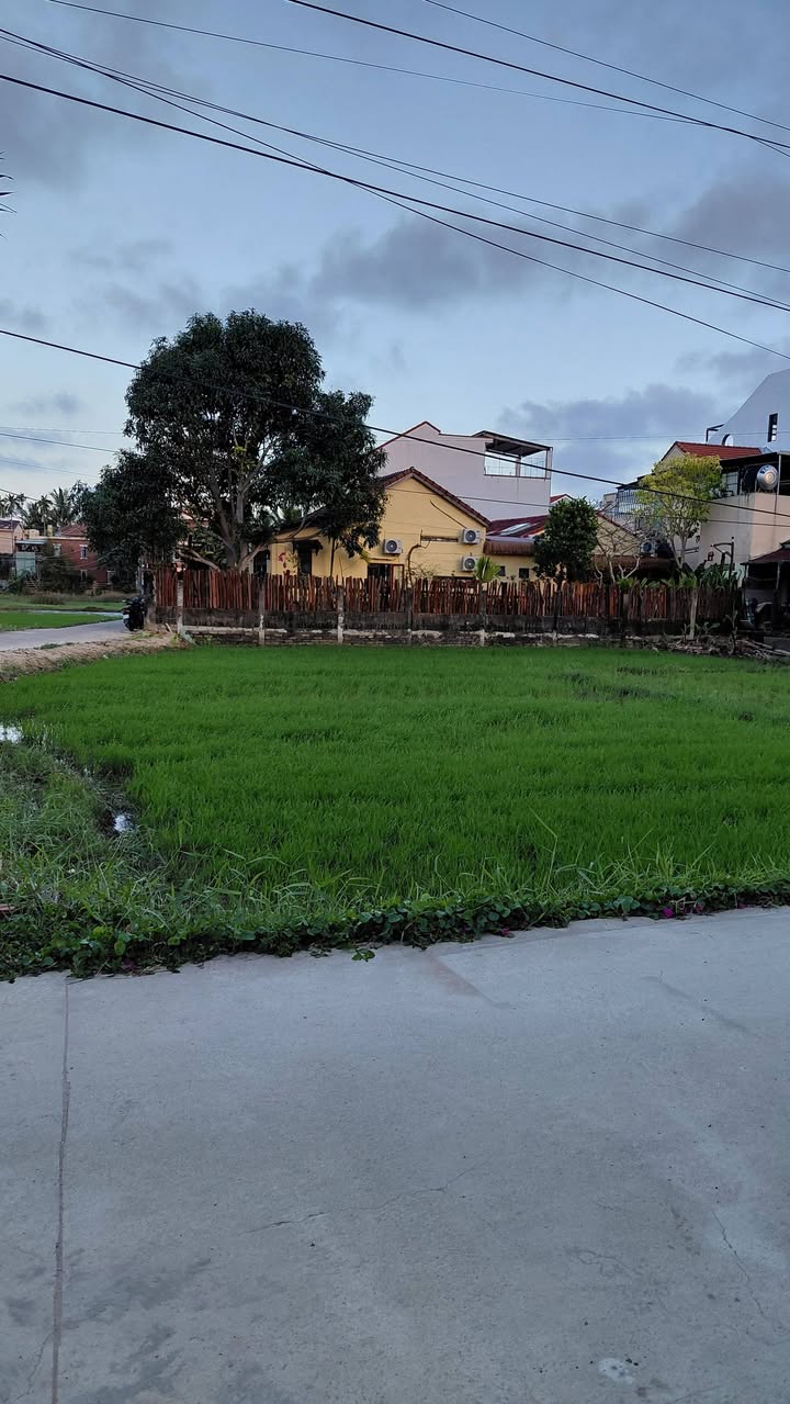 Đất Hội An 100m² Cẩm Châu - View Lúa Phong Thủy, Giá 3.7 Tỷ