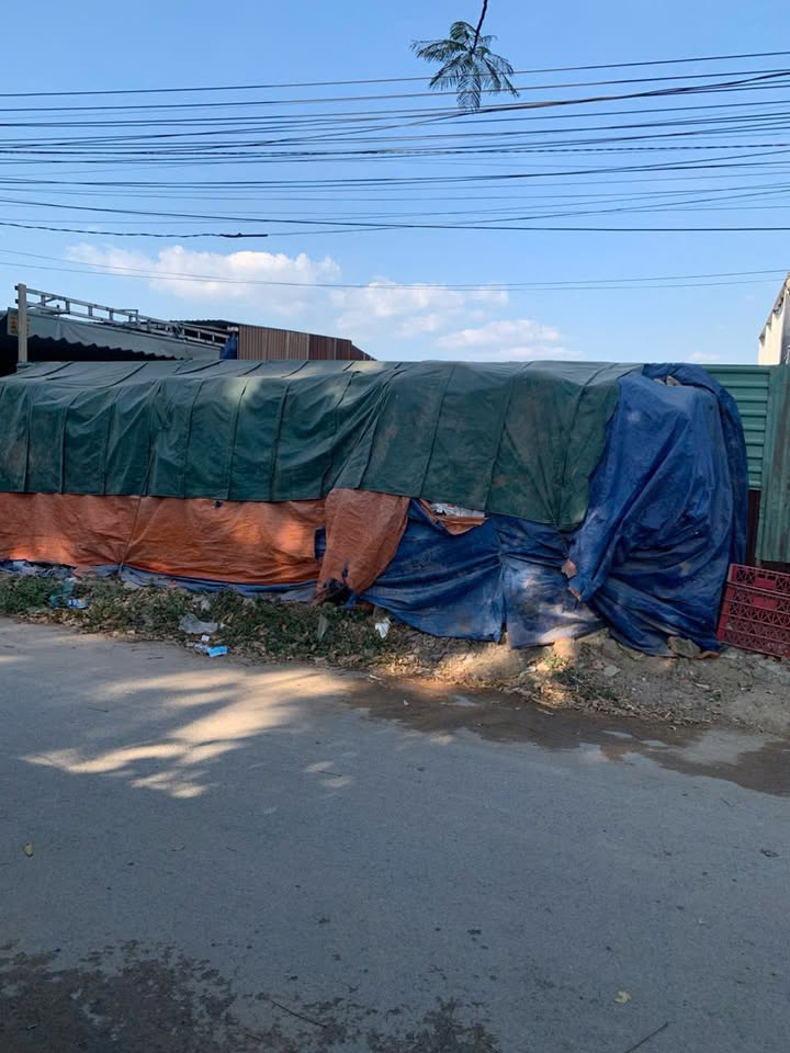 Đất nền Tân Vĩnh Hiệp Tân Uyên 100m² 900 triệu - Sổ đỏ chính chủ!