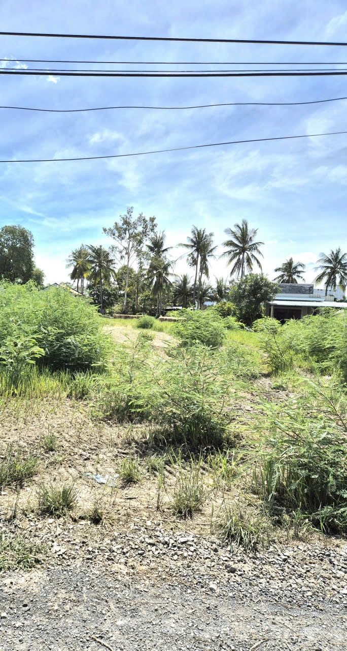 Đất nền Gò Công 580m², Bình Xuân - Sổ đỏ chính chủ, ô tô vào tận nơi!