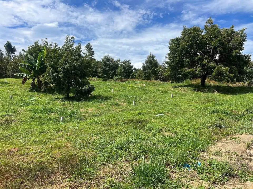 Đất thổ cư Lộc Nam, Bảo Lâm 150m² giá 400 triệu - Cơ hội đầu tư tuyệt vời!