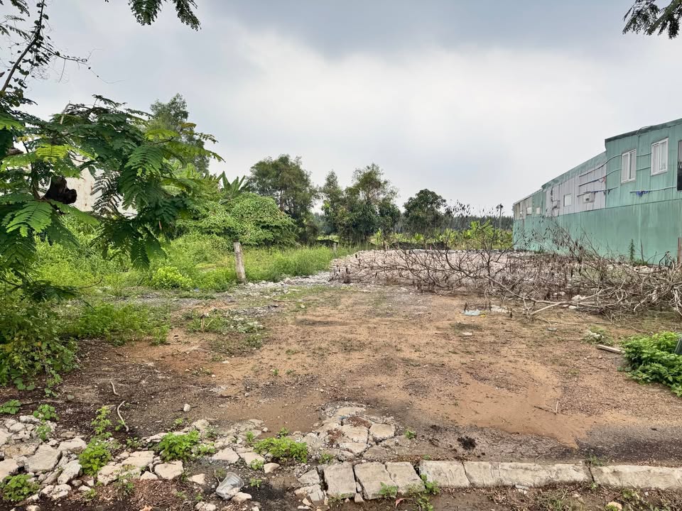 Đất mặt tiền hẻm chính 512, Long Thới, Nhà Bè, 236m² giá 8.26 tỷ - Đầu tư sinh lời!