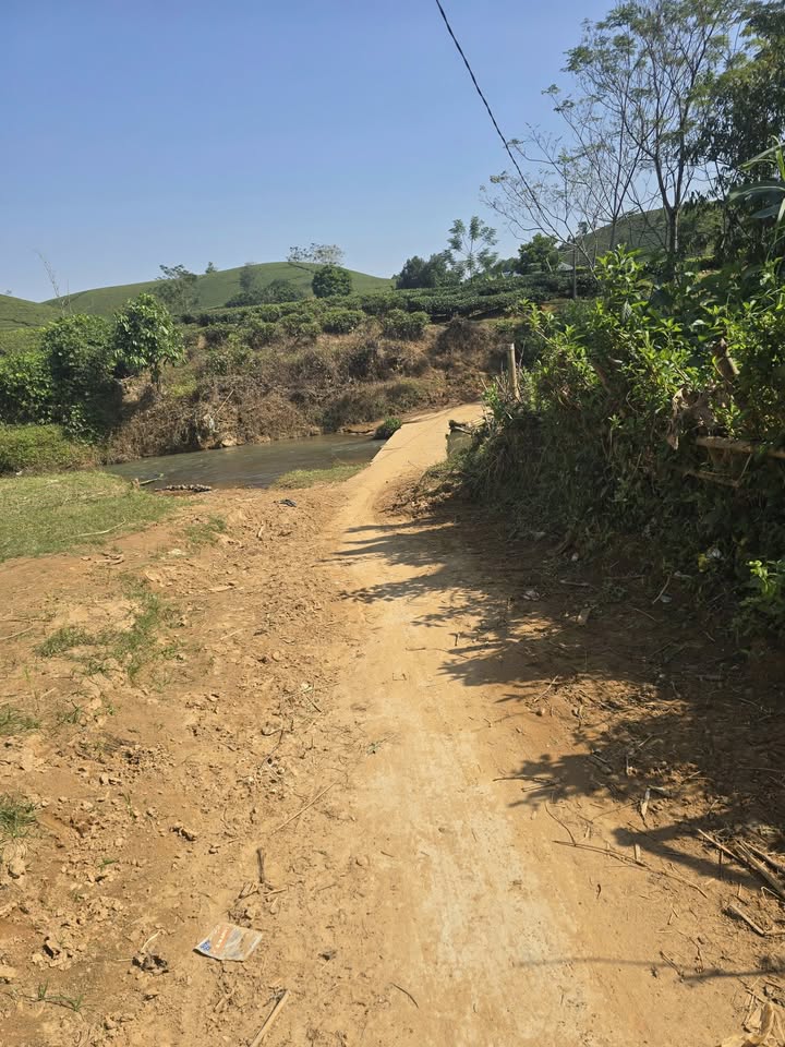 Đất Farm Long Cốc – Phú Thọ 2500m² giá chỉ 200 triệu - Sổ đỏ chính chủ!