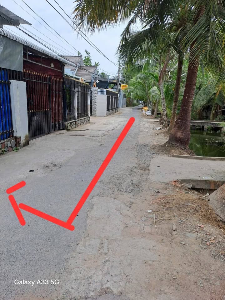 Bán đất vườn Phú Tân Bến Tre 1900m² giá 7.98 tỷ - Sổ đỏ chính chủ!