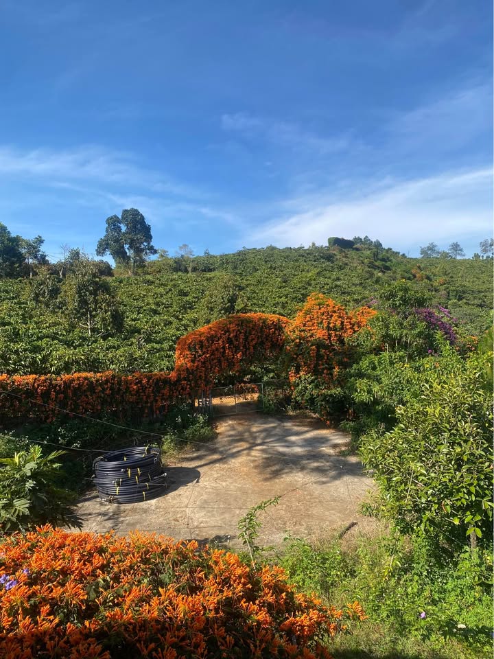 Đất vườn Liên Đầm 1417m² gần QL20 - Nghỉ dưỡng lý tưởng