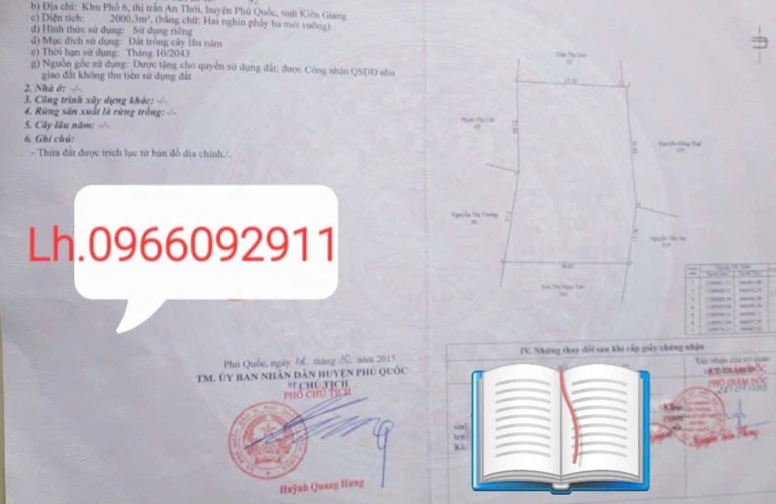 Đất nền An Thới Phú Quốc 2000m² giá 10 tỷ - Sổ đỏ chính chủ!