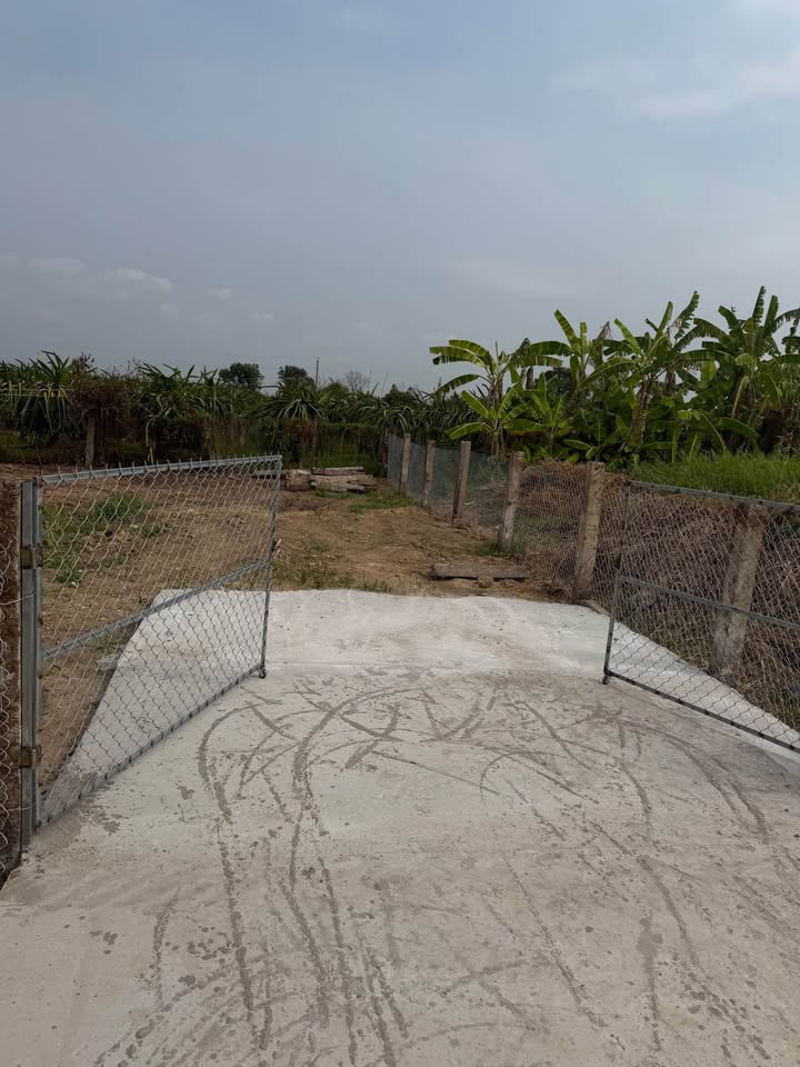 Đất sào Phường Bình Thuận Quận 7 1031m² giá 1.05 tỷ - Giá tốt hiếm có!