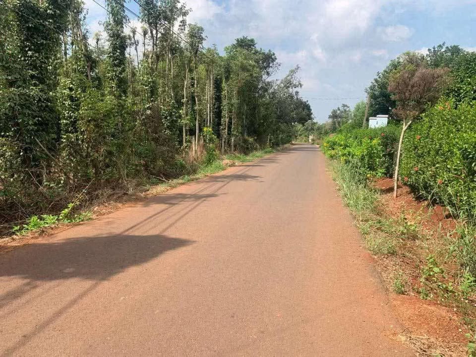 Bán Đất Ngãi Giao Châu Đức 2000m² Giá 11.5 Tỷ - Sổ Đỏ Chính Chủ