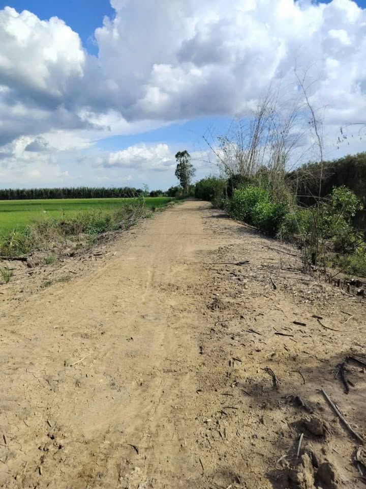 Đất nông nghiệp Tân Tây Thạnh, Long An 20000m² giá 2.4 tỷ - Đầu tư lý tưởng!