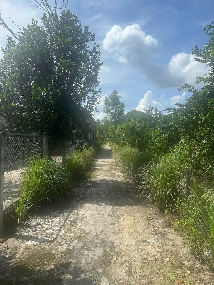 Đất nền Phường Phong Điền 189m² giá 245 triệu - Sổ đỏ chính chủ!