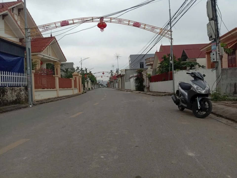 Đất nền Tân Dân, An Lão 100m² giá chỉ 9xx triệu - Cơ hội đầu tư tuyệt vời!