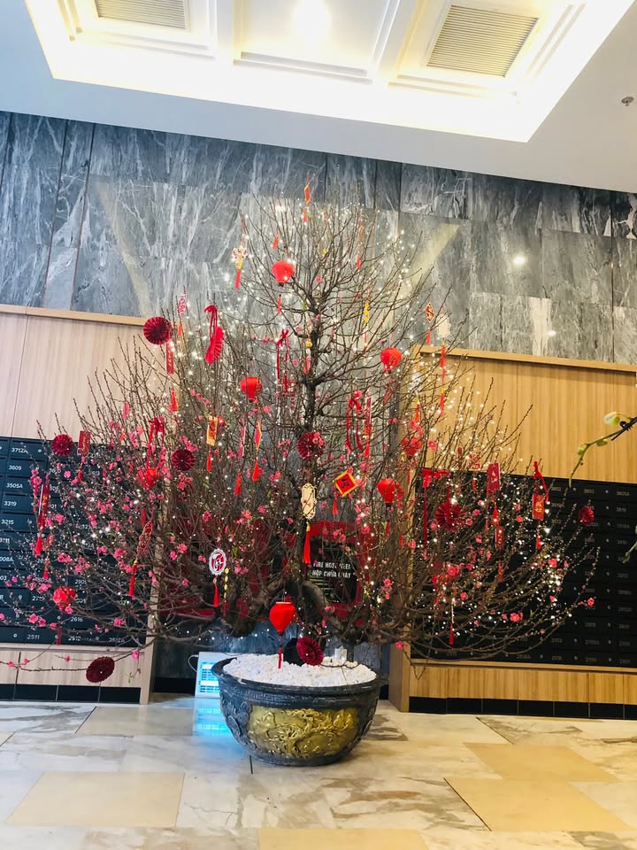 Cho thuê Shophouse Kinh doanh Mặt bằng tầng trệt GS5-GS6 Nam Từ Liêm - 30-80m²