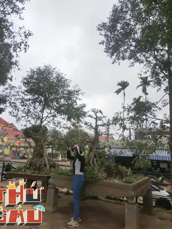 Đất vườn Mang Yang Gia Lai 4.5ha chỉ 1.05 tỷ - View sông cực đỉnh!