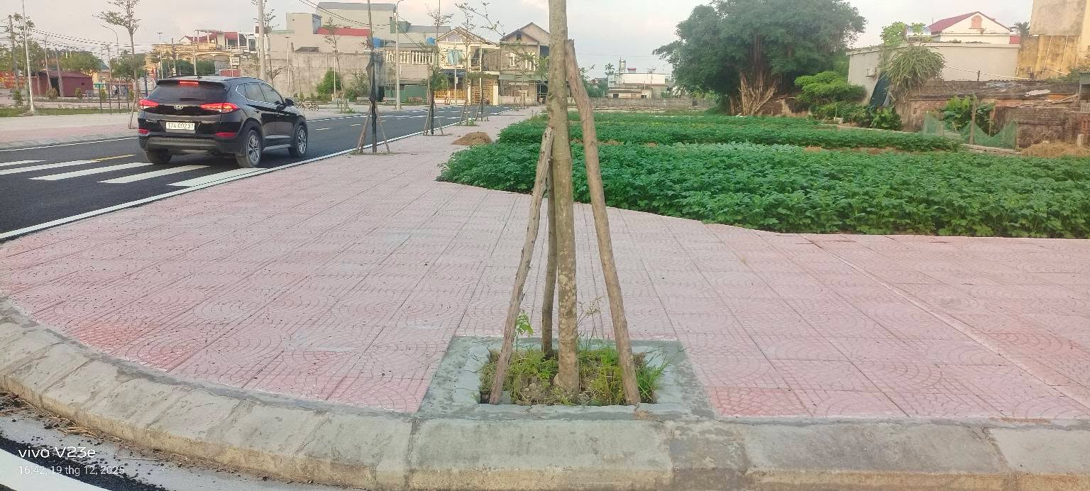 Đất nền góc Vân Trường, Tiền Hải, 128.3m² giá chỉ 3 tỷ - Cơ hội đầu tư tuyệt vời!