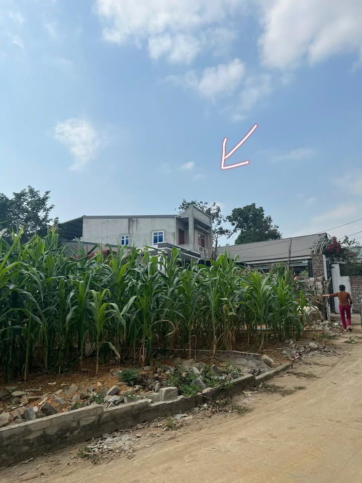 Bán gấp 2 Lô Đất Thị trấn Hoa Sơn, Lập Thạch - 252.6m² - Giá chỉ từ 6xx Triệu