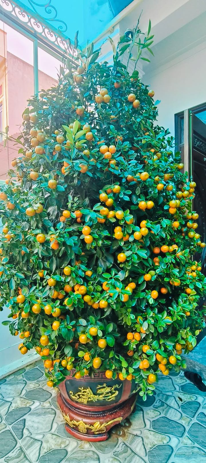 Nhà cấp 4 TT Hậu Lộc, Thanh Hóa 173m² - Ô tô vào tận cổng