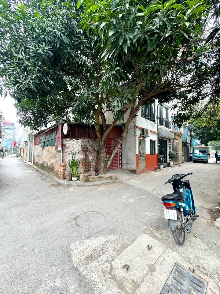 Nhà phố lô góc Việt Hưng, Long Biên 8 tỷ - Mặt tiền kinh doanh đắc địa