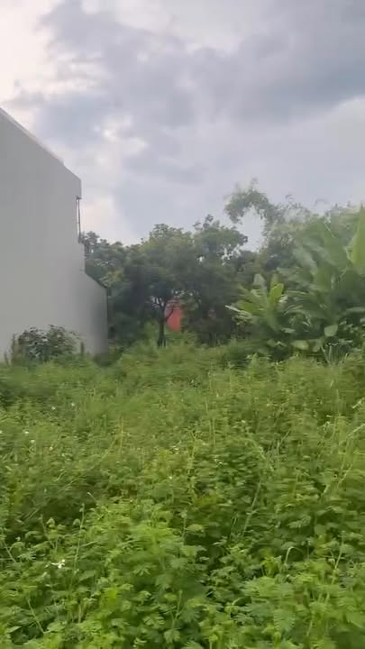 Đất Lạng Giang 1230m² Mặt QL37 - Giá Tốt Xây Xưởng/Biệt Thự