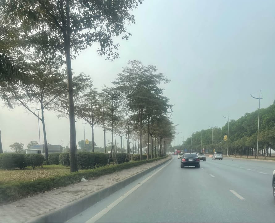 Đất nền Mai Đình Sóc Sơn 80m² giá 1.6 tỷ - Sổ đỏ chính chủ