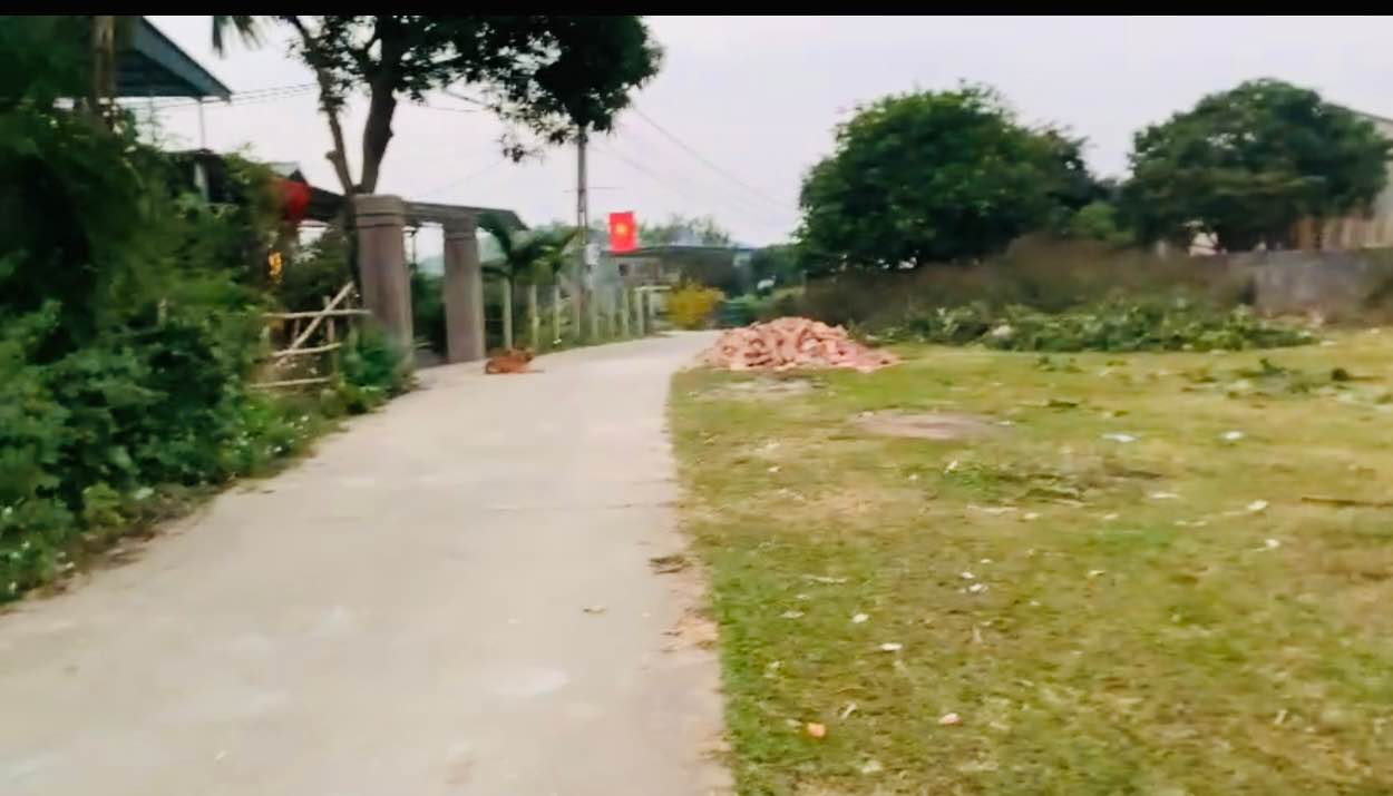 Đất nền Đội Cấn 200m² giá dưới 1 tỷ - Sổ đỏ chính chủ