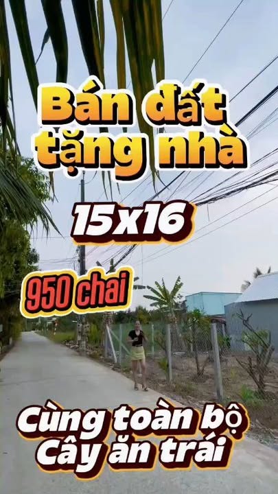 Đất Lúa Cần Giuộc, Long An 253m² giá 950 triệu - Mặt Tiền Đường Nguyễn Thị Kiều, Gần Khu Dân Cư