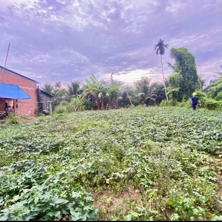 Đất nền Sơn Hòa Châu Thành 302m² giá 520 triệu - Pháp lý rõ ràng