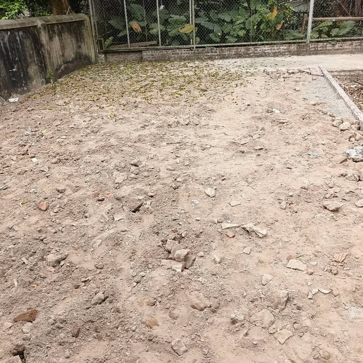 Đất nền Vạn Phúc Thanh Trì 53m² giá 2.4 tỷ - Sổ đỏ chính chủ