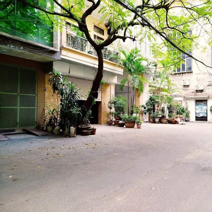 Nhà phố Nguyễn Chính 55m² hơn 17 tỷ - Mặt tiền kinh doanh đắc địa!