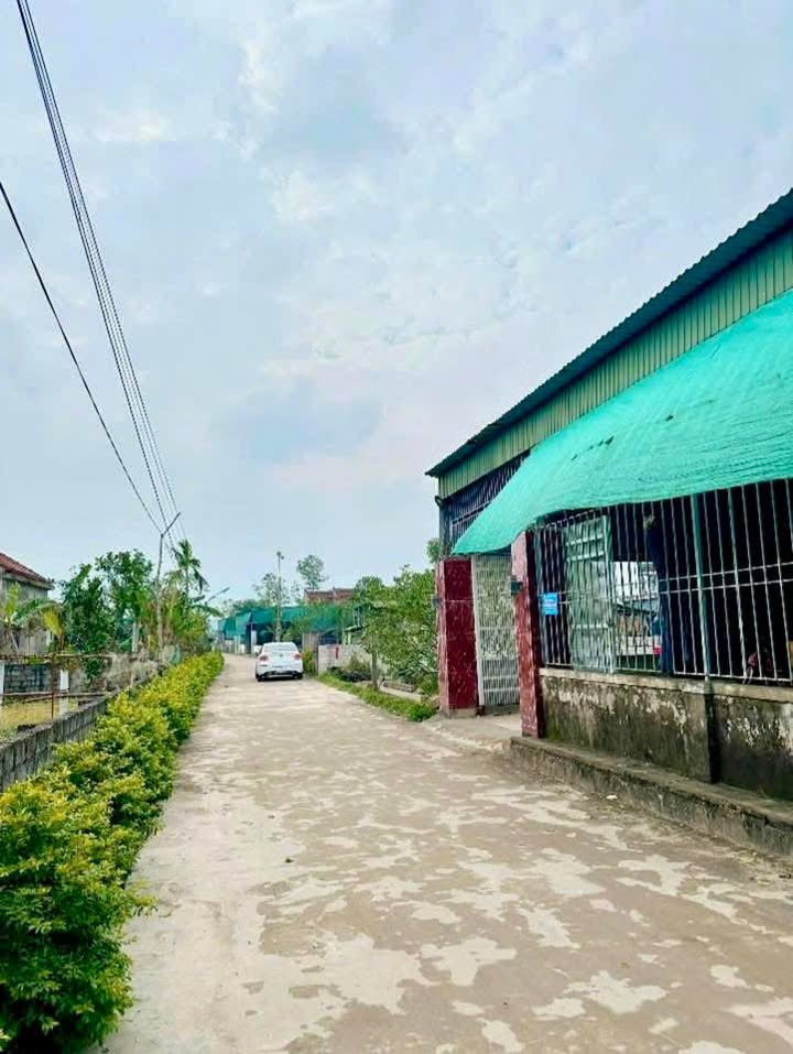 Đất thổ cư Thôn Hưng Giang, Xã Việt Tiến 222m² - Giá tốt, vị trí đắc địa!