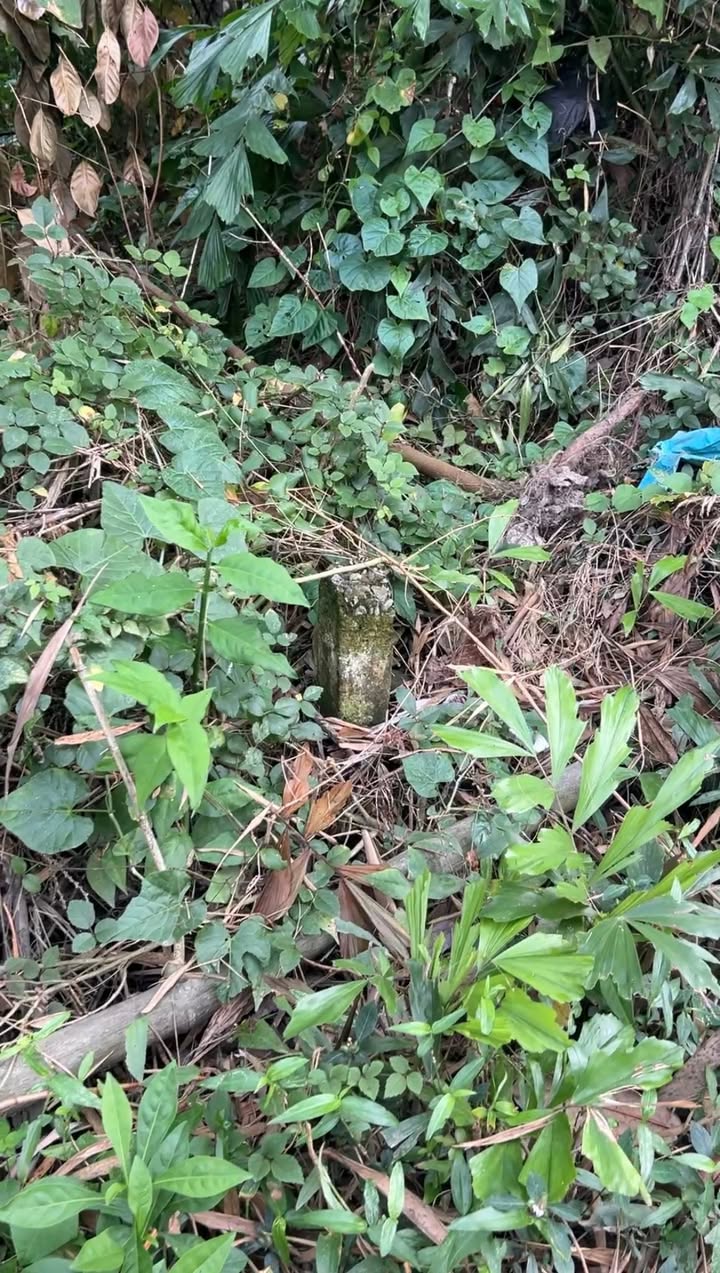 Đất Nền Sóc Trăng 179m² Sổ Riêng - Gần Chợ Phú Tâm