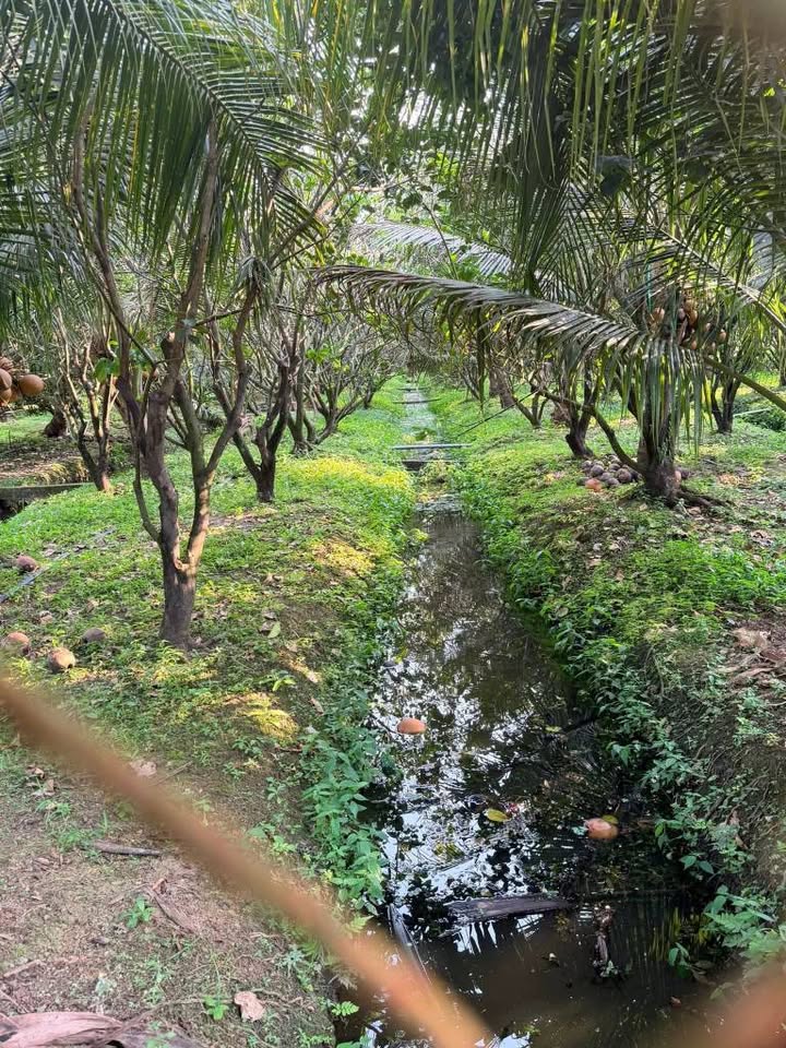 Đất nền Đạo Thạnh 175m² giá 9xx triệu - Tiềm năng tăng giá!