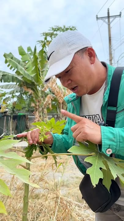 Đất nền Tân Phước Phú Mỹ 120m² giá 3.5 tỷ - Sổ đỏ chính chủ