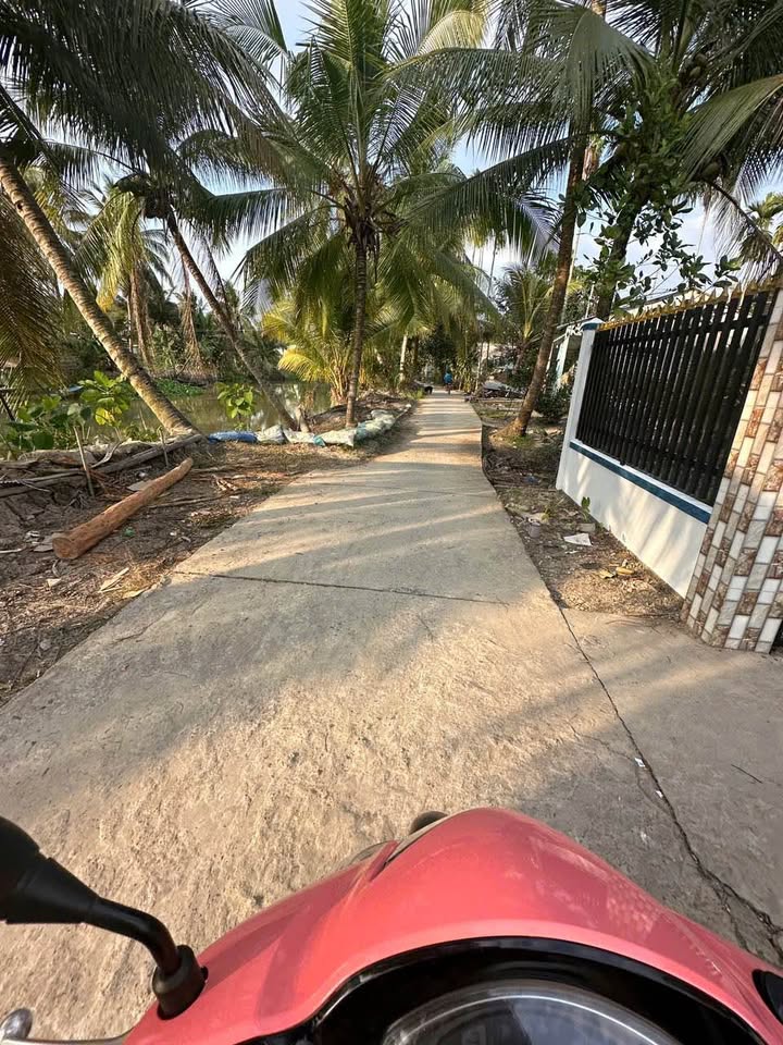 Nhà riêng Thạnh Hoà Cần Thơ 100m² - Giá tốt hiếm có!