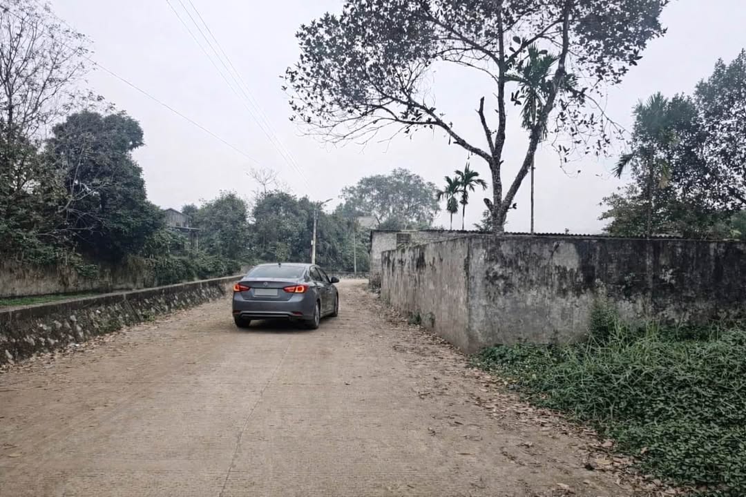 Đất thổ cư 304m² phường Thống Nhất, Hòa Bình - Giá tốt, chính chủ bán gấp!