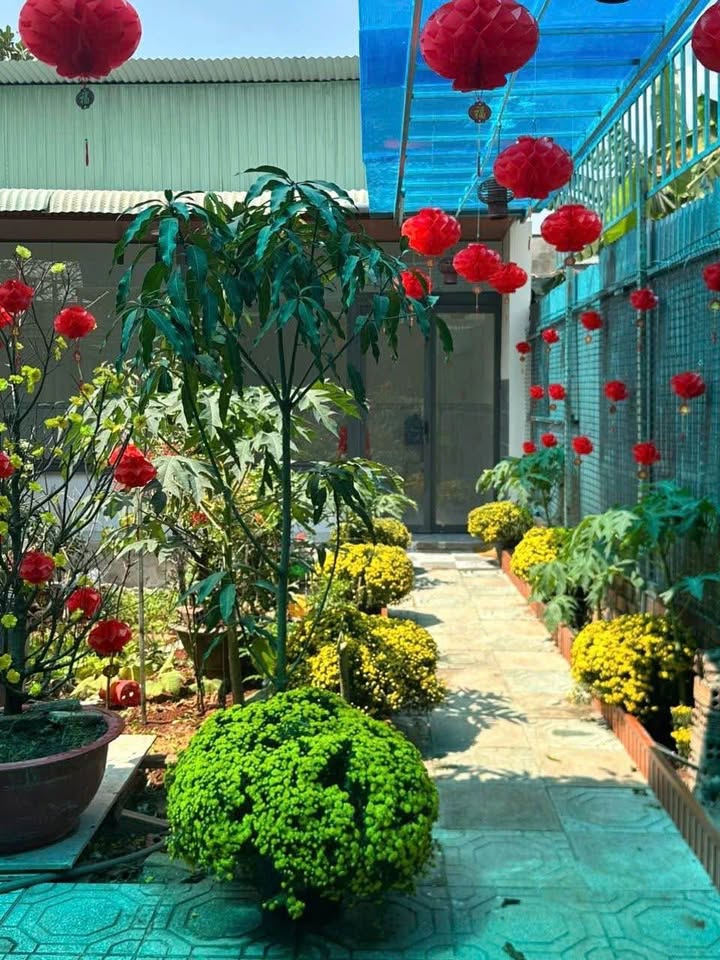 Nhà Vườn 132m² Long Thành - Sổ Hồng Riêng, Sẵn Sàng Đón Tết