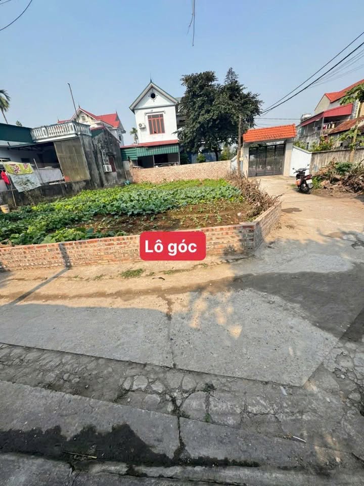 Đất nền Võng Xuyên, Huyện Phúc Thọ 88m² giá 2 tỷ - Lô góc đẹp, đầu tư sinh lời!