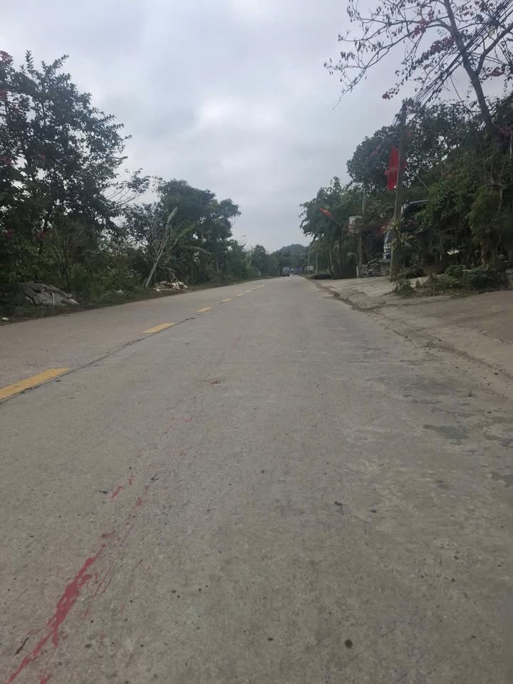 Đất nền Quốc lộ 21C Yên Mô 185m² 14 tỷ - Mặt tiền kinh doanh đắc địa!