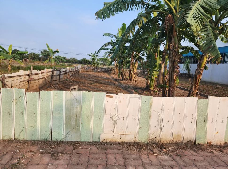 Đất giãn dân Song Mai Kim Động 152m² hơn 2 tỷ - Sổ đỏ chính chủ