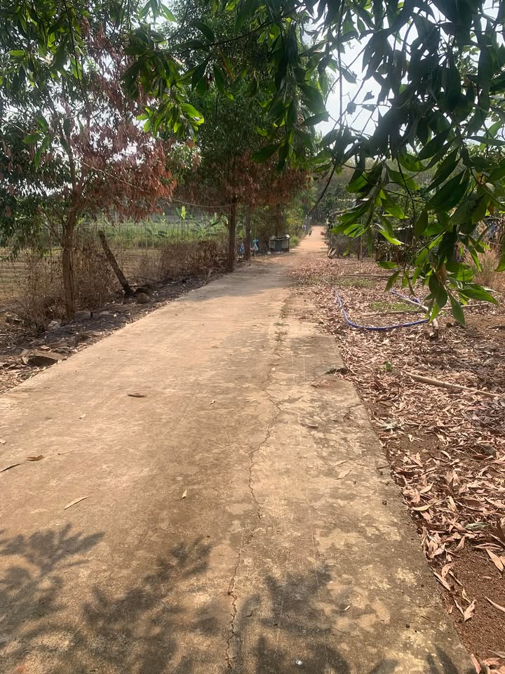 Đất vườn Thanh Hòa Bù Đốp 4100m² giá 580 triệu - Sổ đỏ chính chủ